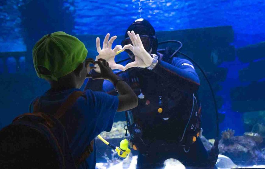 Aquarium from Antalya