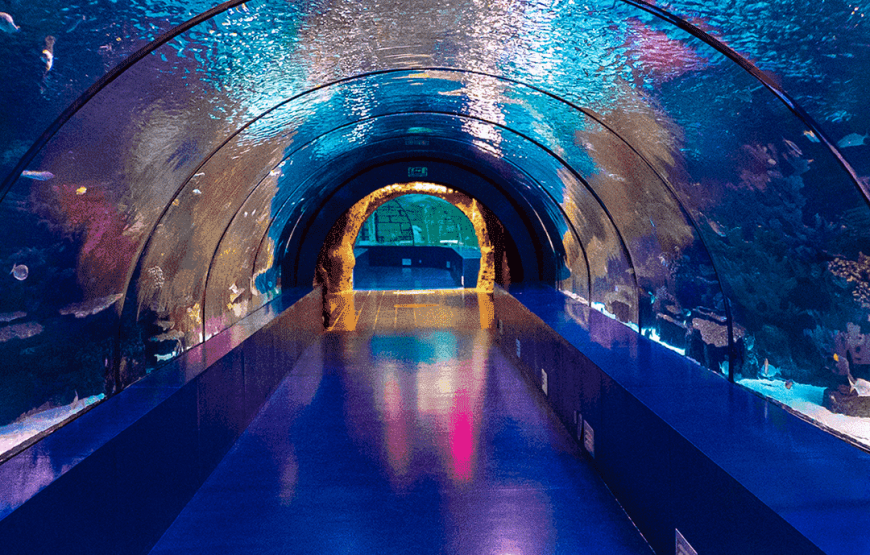 Aquarium from Antalya