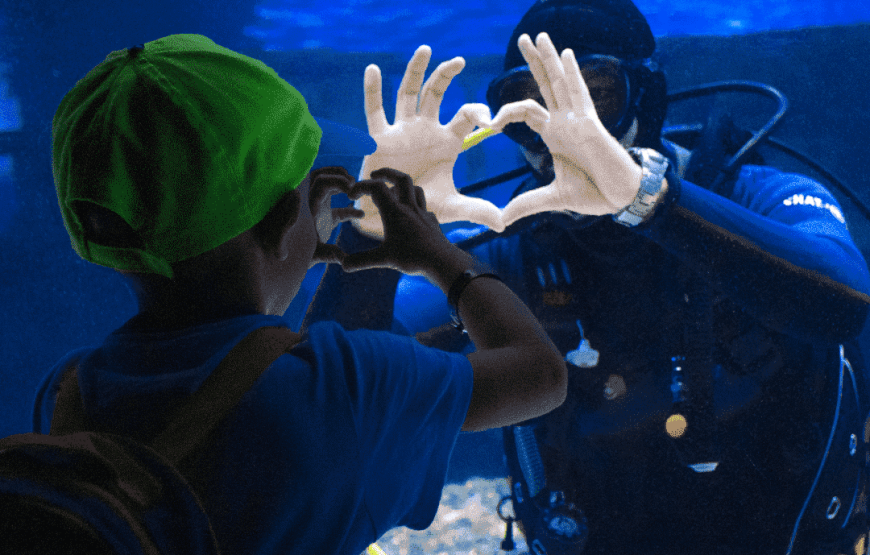 Aquarium from Antalya