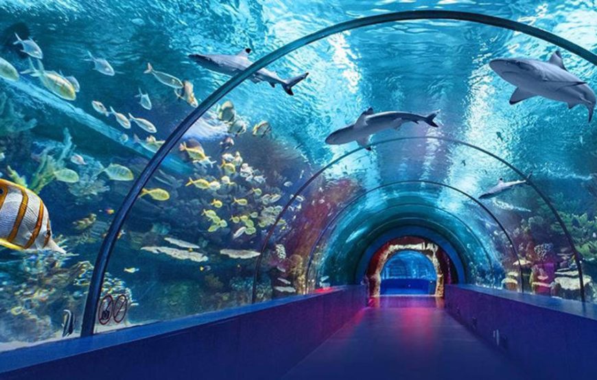 Antalya Aquarium & Old Town Tour
