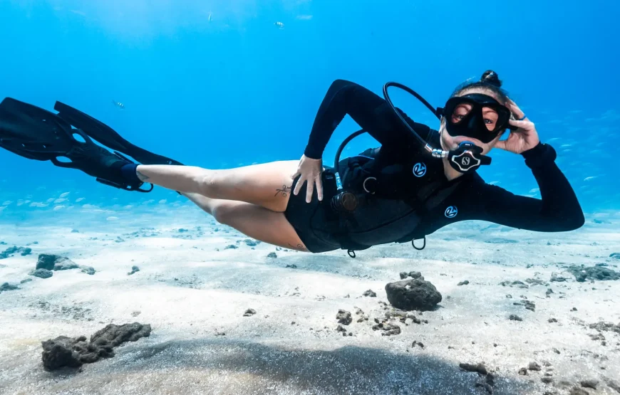 Scuba Diving