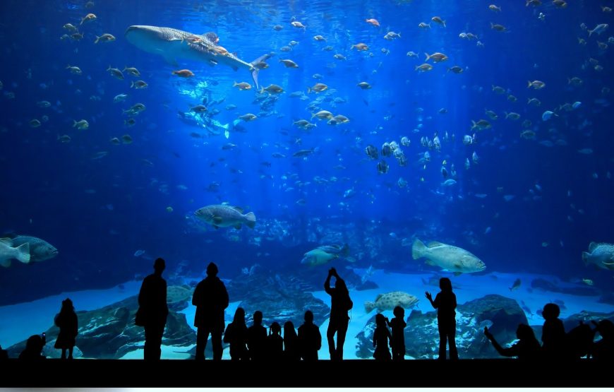 Antalya Aquarium & Old Town Tour