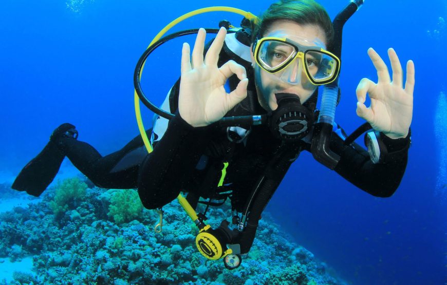 Scuba Diving