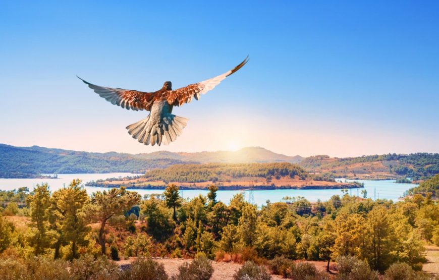 Green Canyon & Cabrio Bus Mix Safari Tour from Side