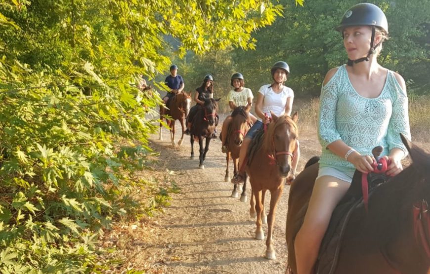 Marmaris Horse Riding Safari