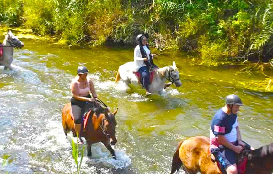 Marmaris Horse Riding Safari