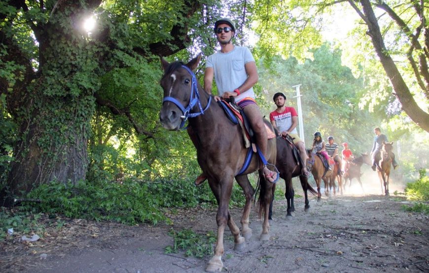 Marmaris Horse Riding Safari