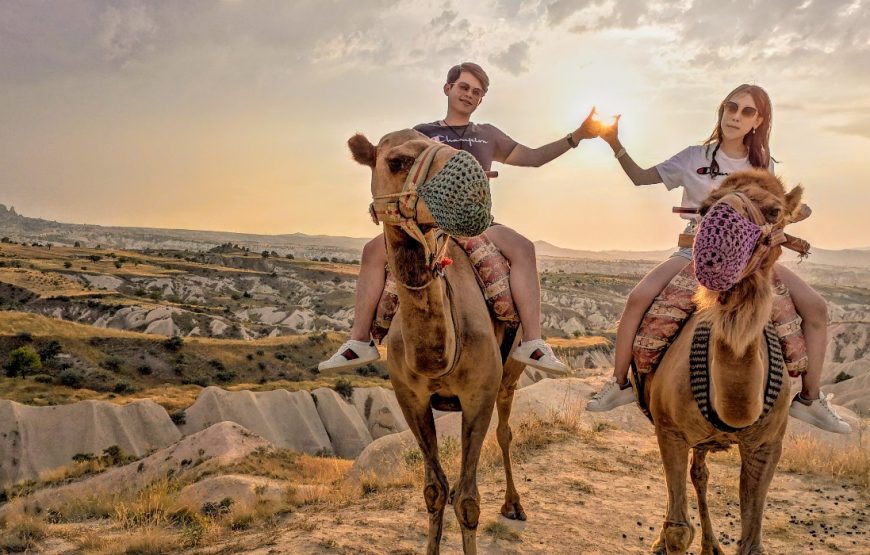 Cappadocia Camel Ride