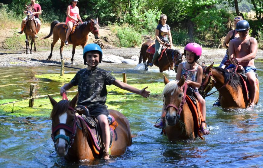 Marmaris Horse Riding Safari