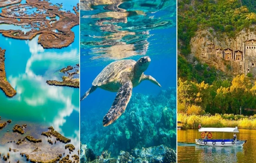 Turtle Beach Tour With Lake and Mud Baths From Marmaris