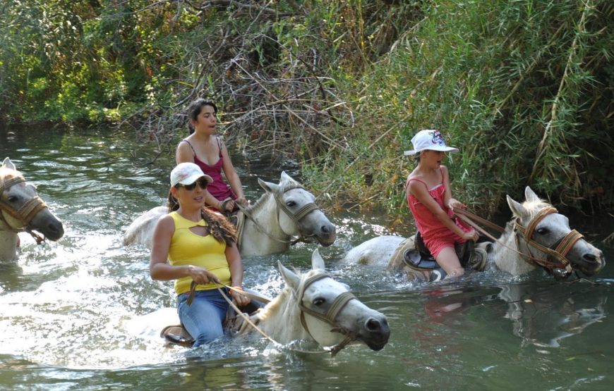 Marmaris Horse Riding Safari