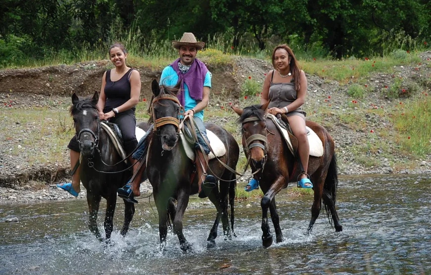 Marmaris Horse Riding Safari